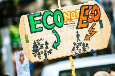 ess reporting compliance