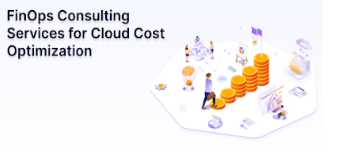 Cloud FinOps Consulting