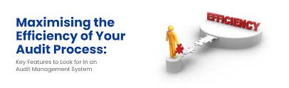 management-audit-organizational-health-guide