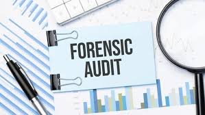 forensic-audit-financial-check-integrity-guide